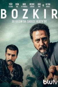 <!--base64:0KHRgtC10L/RjA==-->